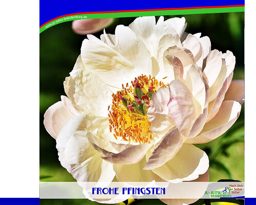 Frohe Pfingsten