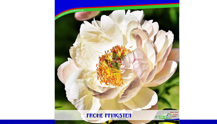 Frohe Pfingsten