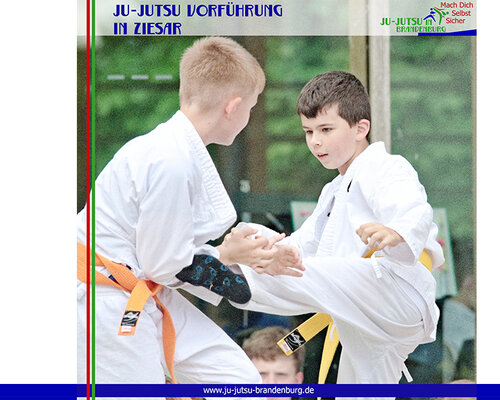 Ju-Jutsu Vorführung in Ziesar