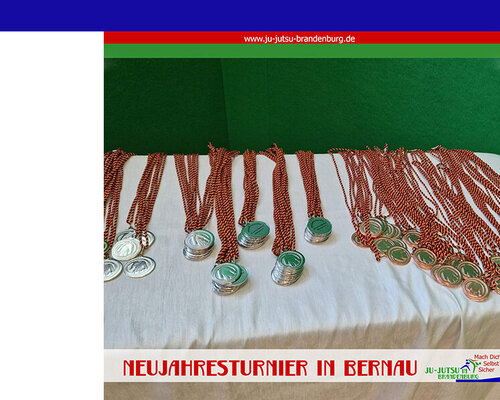 Medaillenregen beim Neujahresturnier